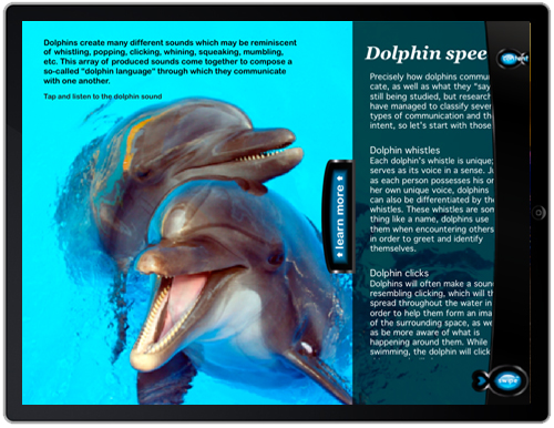 Dolphin 3